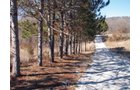 Property photo 15 - 97.5 Acres - Executive Home and Secluded Retreat
